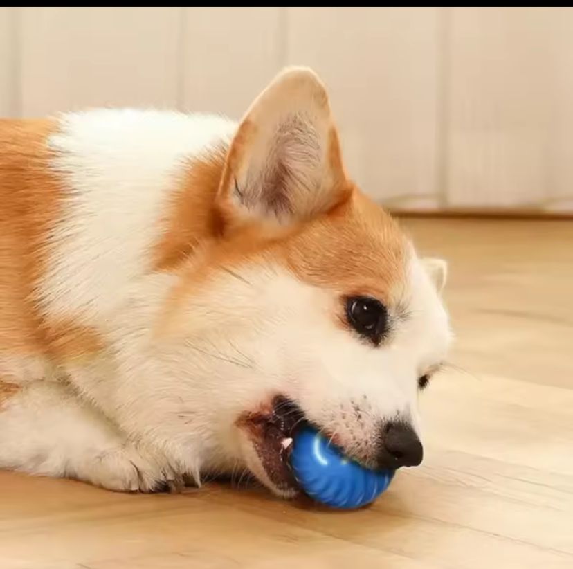 Pelota interactiva recargable de juguete